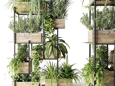 Hanging Basket Plants in Wooden Pots on Metal Shelves with Green Ferns and Trailing Vines 3d model