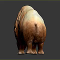 Brown Rhinoceros 3D Model With Large Horn On Black Background And Reflection