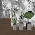 Different Potted Plants In Gray Square Concrete Planters With Light Colored Walls And Wooden Floor