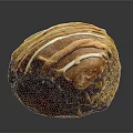 Freshly Baked Chocolate Pastry With White Frosting Drizzle And Soft Texture