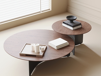 Modern coffee table model