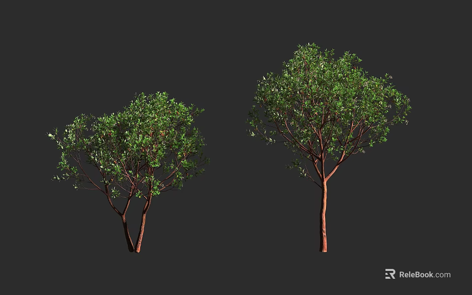 Two Tall Arbor Trees With Green Leaves And Brown Trunks On Dark Background 3d model 