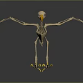 Anatomical Bird Skeleton 3D Model Medical Device for Educational and Research Use 3d model