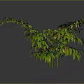 3D Rendered Lush Green Plant With Yellow Red Edges Slender Stems Grey Background Reflection