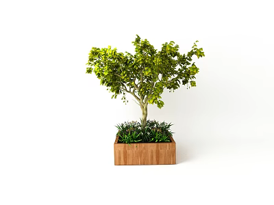 Outdoor Roadside Wooden Planter With Green Tree And Surrounding Plants 3d model