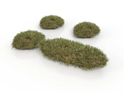 Four Green Grass Clumps with Irregular Shapes on White Background 3d model