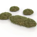 Four Green Grass Clumps with Irregular Shapes on White Background