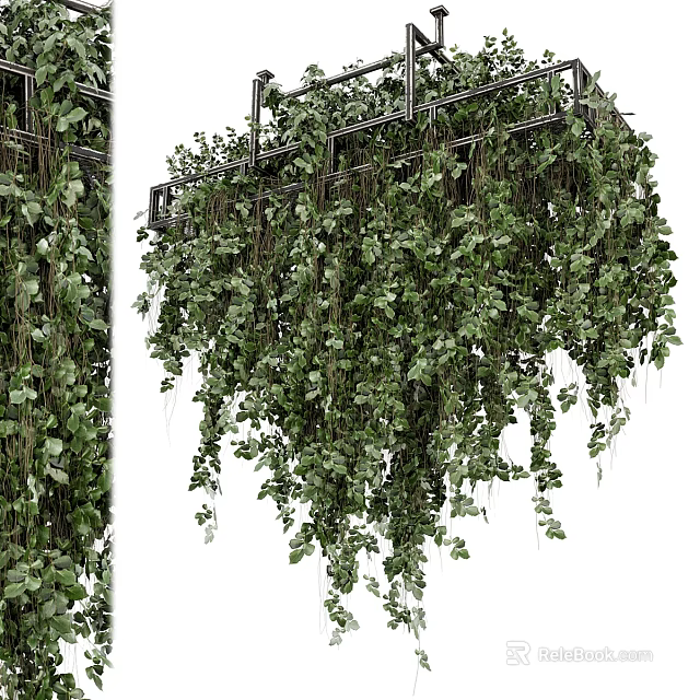 Lush Green Hanging Basket Plants With Trailing Vines And Foliage 3d model 