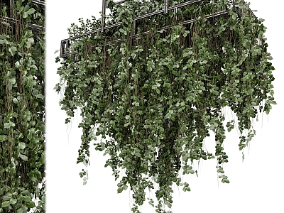 hanging plant fishing plant hanging basket 3d model