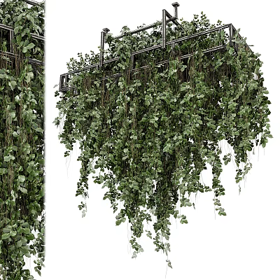 Lush Green Hanging Basket Plants With Trailing Vines And Foliage 3d model