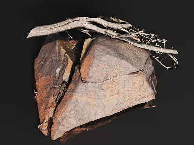 Natural Rockery Stone With Rough Surface Brown Color And Dry Branches 3d model