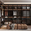 Modern Walk in Closet Interior Design With Glass Doors Hanging Garments And Storage Boxes