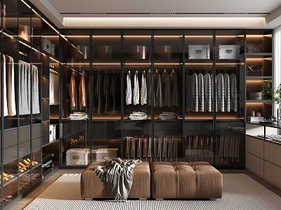 Modern Walk in Closet Interior Design With Glass Doors Hanging Garments And Storage Boxes 3d model