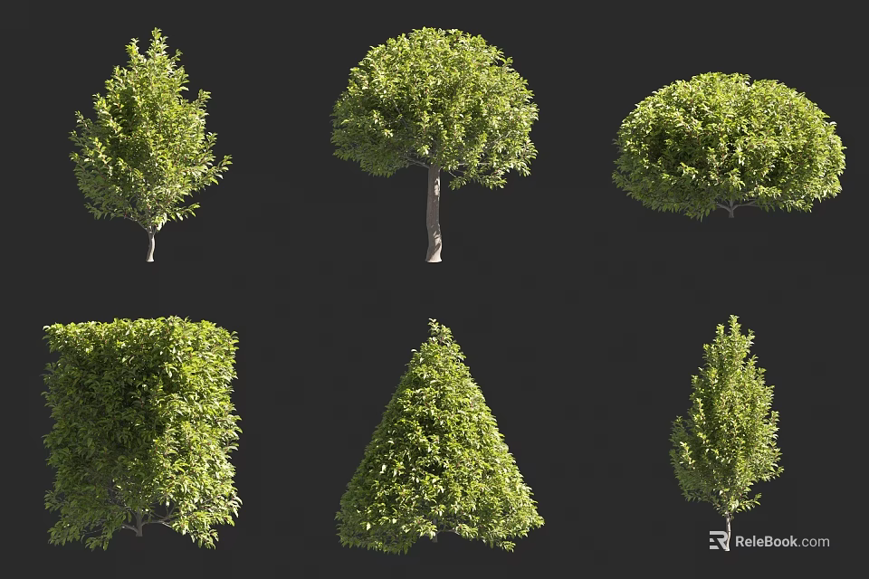 Different Shaped Green Shrubs With Various Pruned Forms For Garden Landscaping 3d model