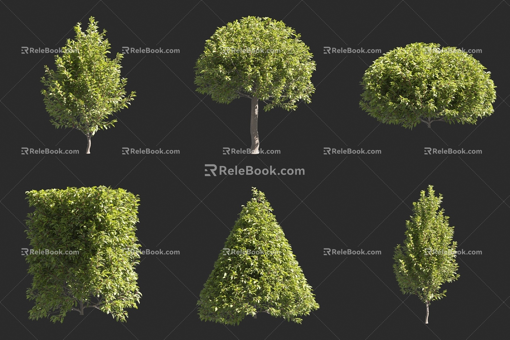 Laurel Shrub Gardening 3d model