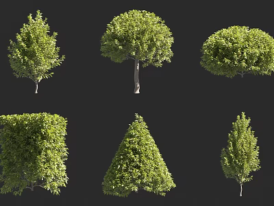 Different Shaped Green Shrubs With Various Pruned Forms For Garden Landscaping 3d model