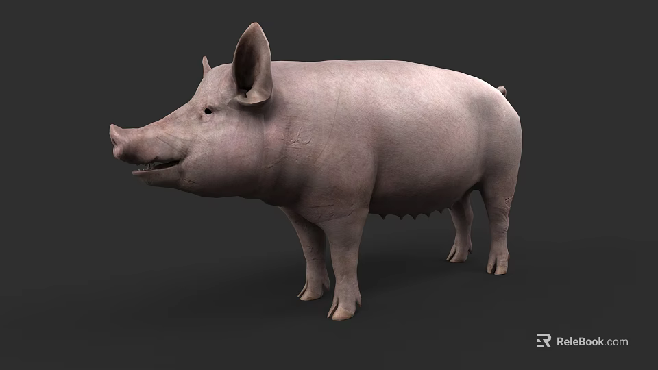 Realistic Light Gray Pig 3D Model In Standing Pose With Detailed Texture 3d model 