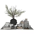 Modern Decorative Ornament Set With Black Dotted Vase Branches Ceramic Plates Glass Bottle And Books