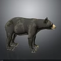 3D Bear Model Featuring Gray Brown Spotted Fur Standing Pose on Dark Background 3d model