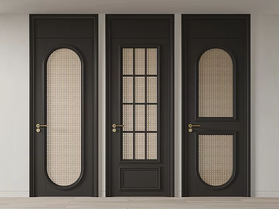 Black Hinged Doors with Different Glass Panel Designs and Golden Handles in Modern Interior 3d model