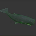 Gray Whale Realistic Sculpture With Detailed Features And Reflection On Black Background