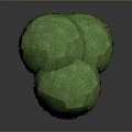 Decorative Green Plant with Two Round Canopies and Brown Trunk Isolated on Gray Background
