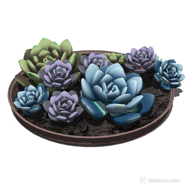Colorful Succulent Bonsai Potted Plant With Mixed Green Purple Blue Flowers In Round Pot 3d model 