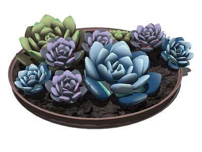 Colorful Succulent Bonsai Potted Plant With Mixed Green Purple Blue Flowers In Round Pot 3d model