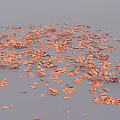 Natural Ground Cover With Orange Fallen Leaves Covering Gray Surface Area
