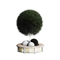Round Green Topiary Plant Combination With Circular Base And Decorative Balls