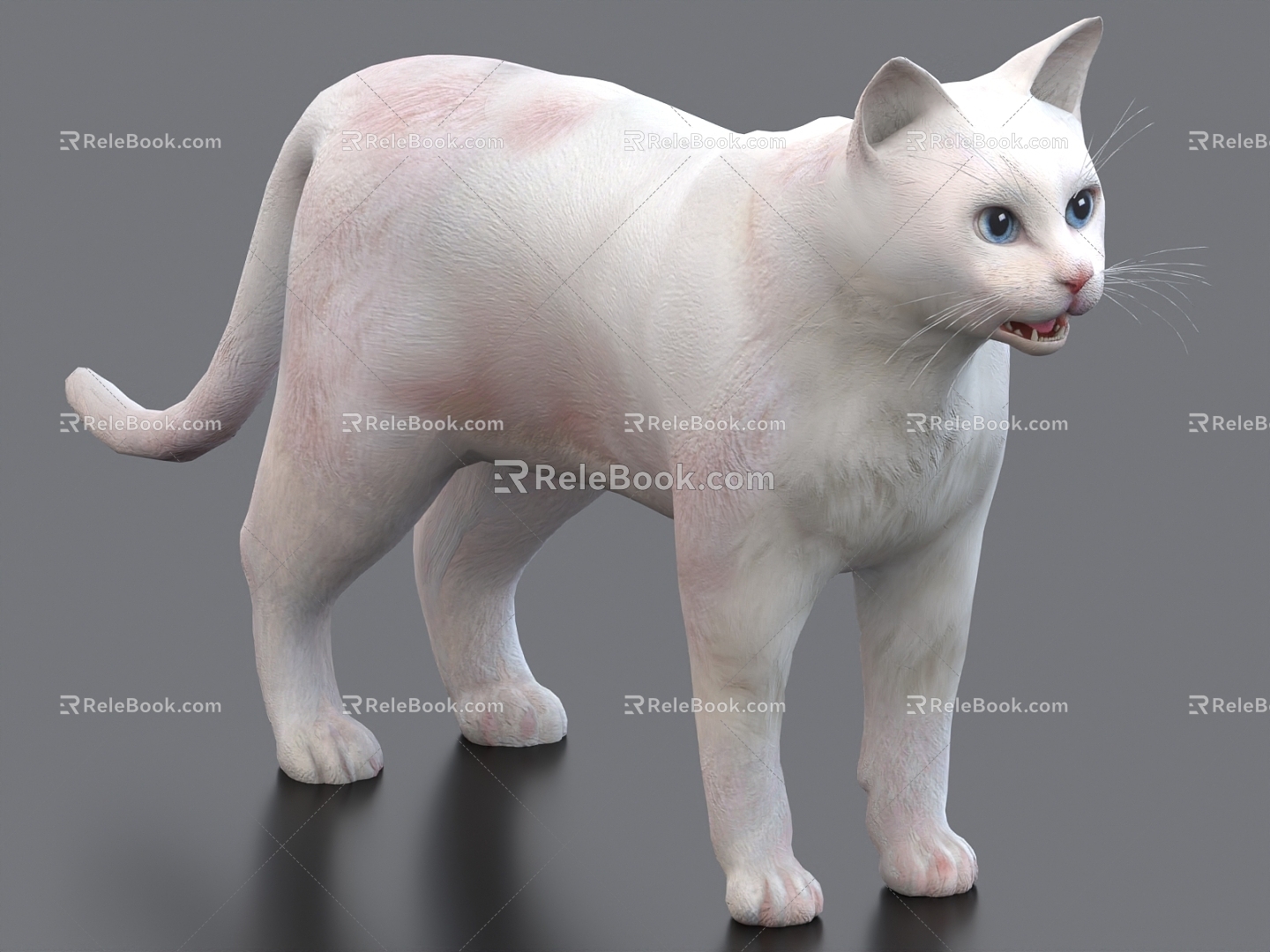 White Cat Cat Pet Cat 3d model