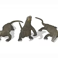 Three Komodo Dragons Reptiles Showing Different Poses on Light Blue Background