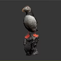 Adorable Puffin With Black And White Feathers Orange Beak And Feet On Rocky Base