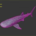 Blue And White Spotted Whale Shark Swimming In Deep Ocean Waters
