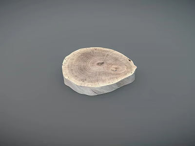 Natural Wood Slice with Smooth Stone Base for Decorative 3d model
