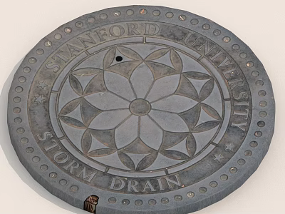 Stanford University Storm Drain Cover With Floral Pattern And Decorative Dots 3d model