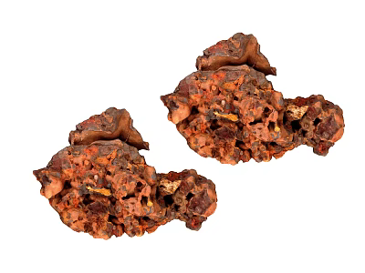 Two Pieces Brown Natural Sponge With Rough Surface And Holes For Household Cleaning Use 3d model