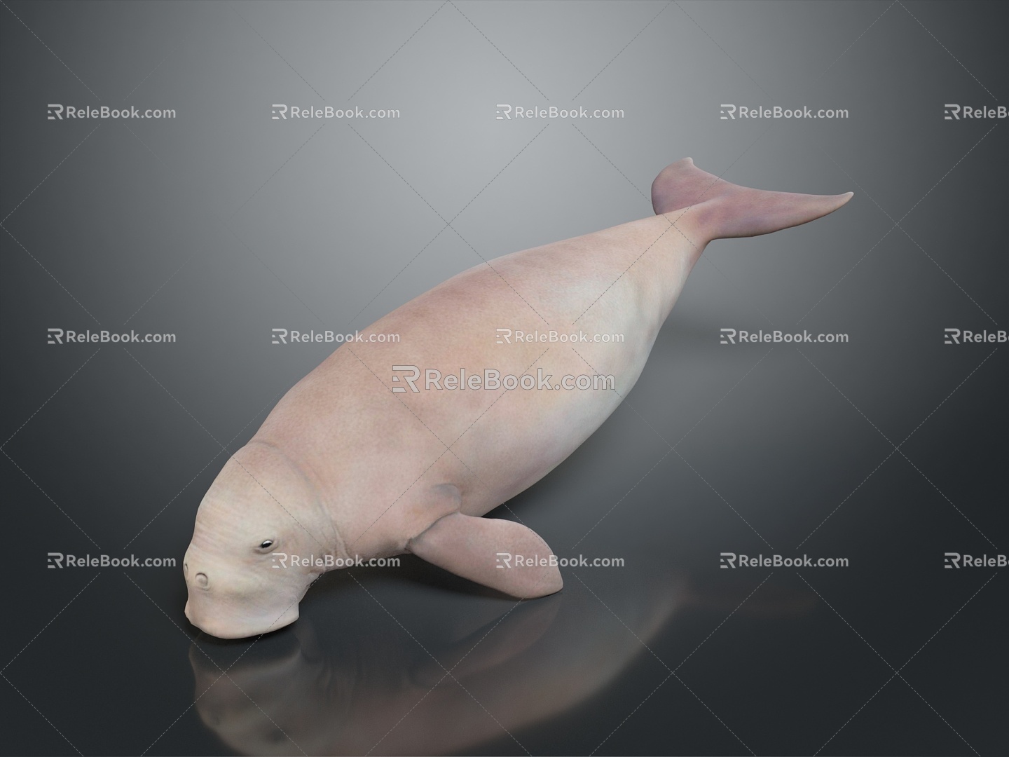 Manatee Beautiful Manatee Sea Animal Fish Freshwater Fish Sea Fish Animal Game Animal Cartoon Animal 3d model