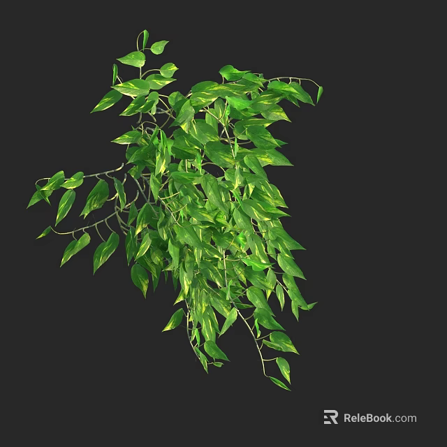 Green Vine Plant With Lush Hanging Leaves For Natural Greenery Decoration 3d model 