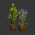 Two Potted Plants With Yellow Tulips And Purple Flowers In Orange Pots