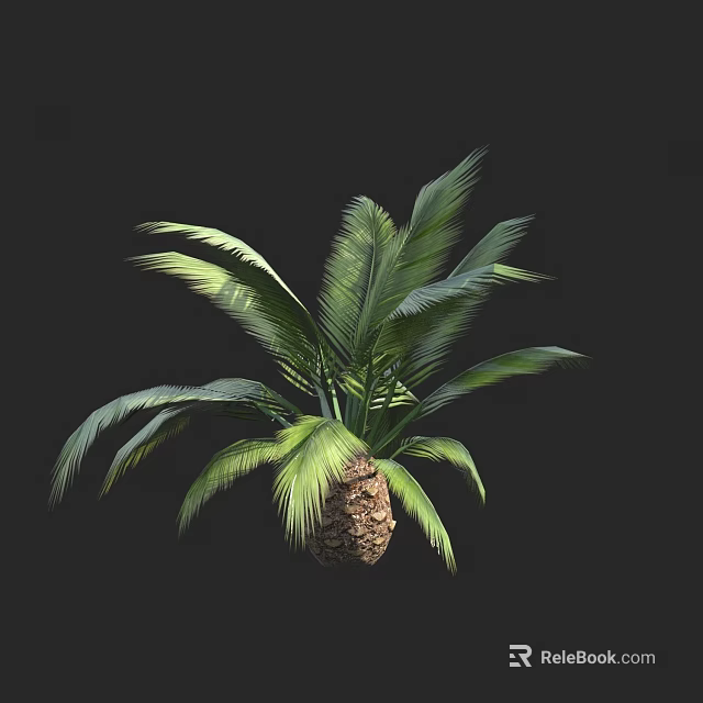 Lush Palm Arbor With Green Fronds And Textured Trunk Against Dark Backdrop 3d model 