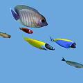 Colorful Tropical Fish Swimming In Blue Underwater Background With Various Species