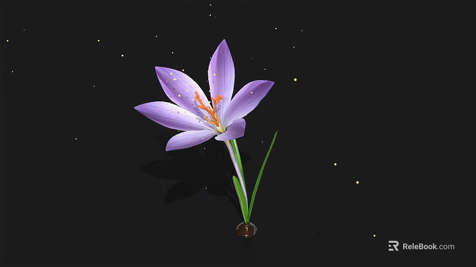 Purple Crocus Flower With Green Stem On Black Background And Golden Sparkles 3d model 