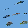 Aquatic Animals Featuring Various Colorful Fish Species Swimming In Blue Water