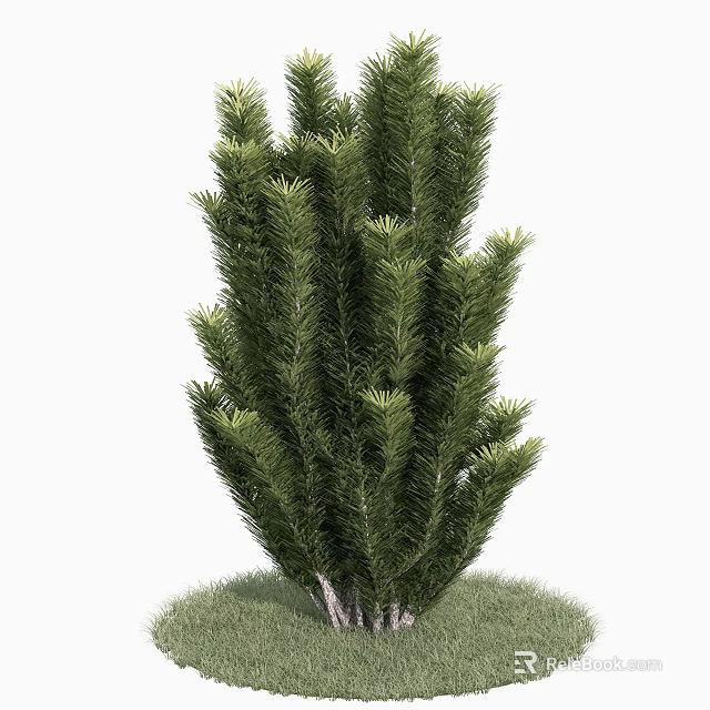 Lush Green Shrub With Dense Foliage Growing On Grass Base 3d model