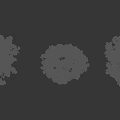 Three Arbor Trees With Lush Green Leaves And Brown Trunks On Black Background