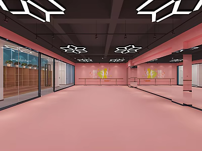 School Dance Studio With Pink Floor Pink Walls Mirrored Walls And Geometric White Ceiling Lights 3d model