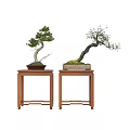 Artistic Bonsai Trees Placed On Wooden Stands With Moss Covered Bases