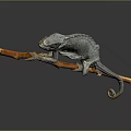 Chameleon reptile climbing with extended tail on an orange branch against gray background