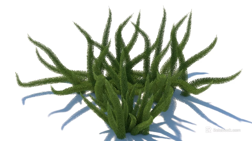 Green Herbaceous Plants with Slender Leaves in Clumping Growth and Natural Shadow 3d model 